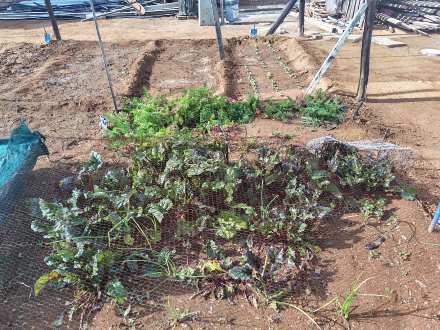 3 Bedroom Property for Sale in Middelburg Eastern Cape